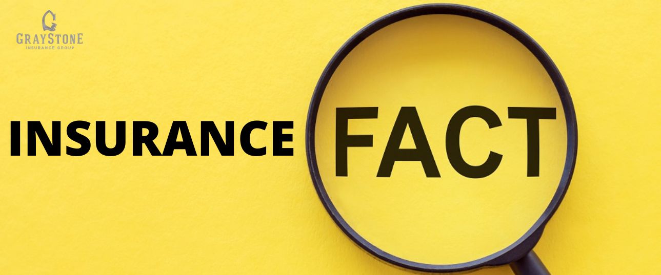 Interesting Facts You Probably Didn't Know About Insurance