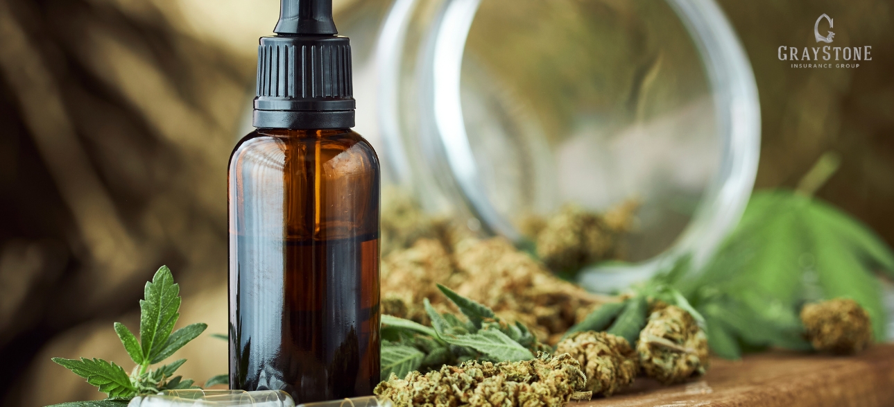  Why Your Business Requires Cannabis Manufacturing Insurance