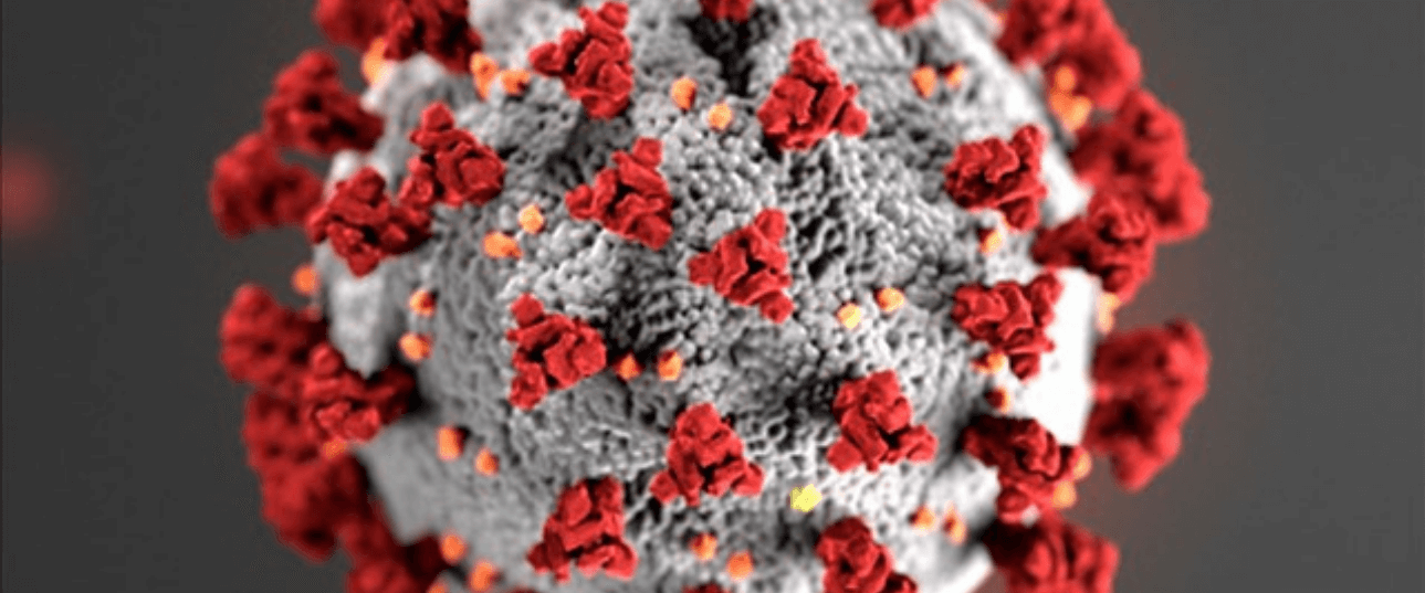 COVID-19 (Coronavirus) - Impact on Restaurants and Bars